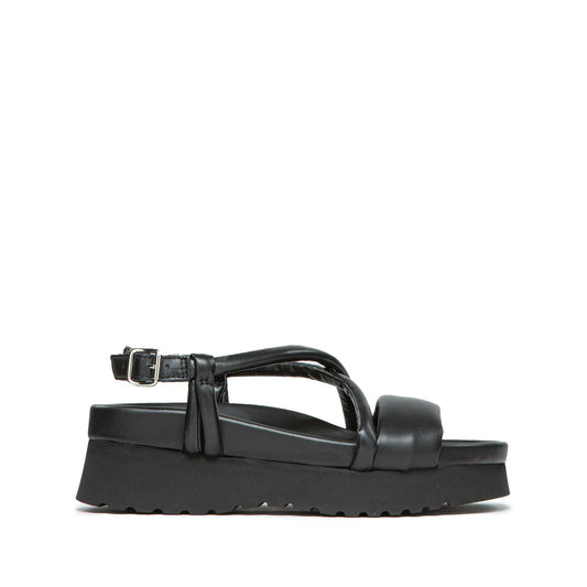 JIL  BLACK BY CORAZZA