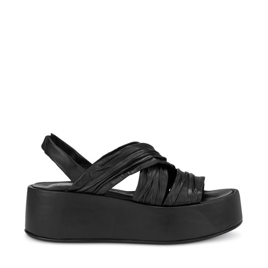 DAISY  DREAMER BLACK